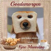 Goedemorgen een...