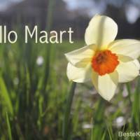 Hallo Maart