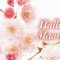 Hallo Maart!