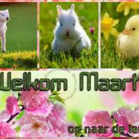 Welkom Maart, op...