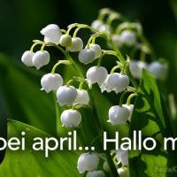 Doei april... Hallo...