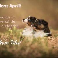 Tot ziens April!...