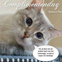 Complimentendag He...