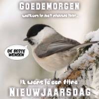 Goedemorgen Welkom...