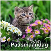 Mooie Paasmandag