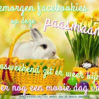 Goedemorgen...