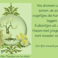 We dromen van de...