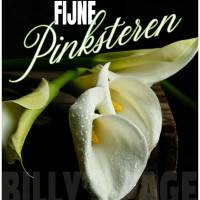 Fijne Pinksteren