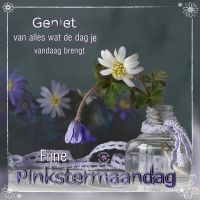 Geniet van alles wat...