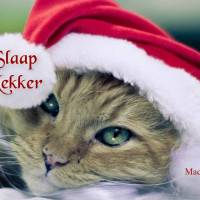 Slaap Lekker
