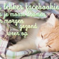 Slaap lekker face...