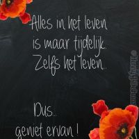 Alles in het leven...