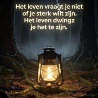 Brandende lantaarn in een donker bos, met de tekst: “Het leven dwingt je sterk te zijn.”