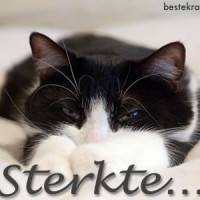 Sterkte...