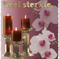 Veel sterkte