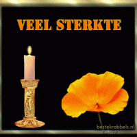 Veel sterkte