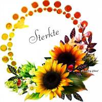 Sterkte