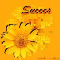 Succes