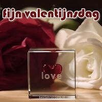 Fijne valentijnsdag