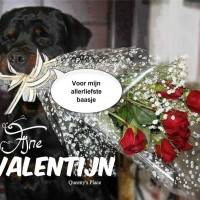 Voor mijn allerli...