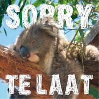 Sorry te laat