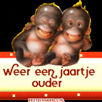 Twee cartoonachtige apen vieren een verjaardag met de tekst 'weer een jaartje ouder' op een rode balk