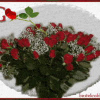 Een hartvormige opstelling van rode rozen en witte bloemen op een witte ondergrond, omlijnd met een rode rand