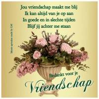 Jou vriendschap...