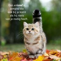 Een vriend is iemand...