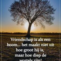 Vriendschap is als...