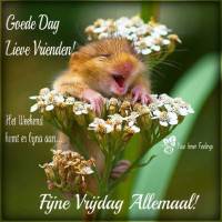 Goede dag lieve...