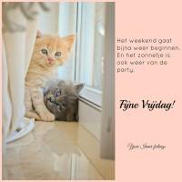 Het weekend gaat...