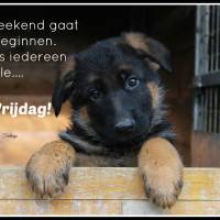 Het weekend gaat...