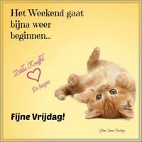 Het weekend gaat...