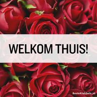 Welkom thuis!
