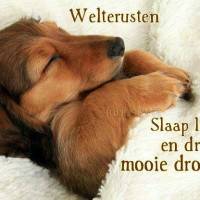 Welterusten. Slaap...