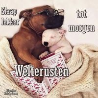 Welterusten, slaap...