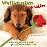 Welterusten, Slaap...