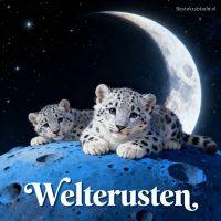 Twee sneeuwluipaardwelpjes op een blauwe maan met sterrenhemel en grote maan op de achtergrond