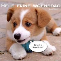 Hele Fijne Woensdag...