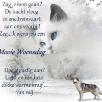 Zag je hem gaan? De...