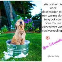 We breken de week...