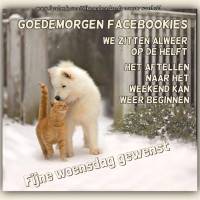 Goedemorgen...