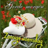 Goede morgen...