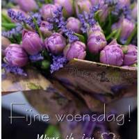 Fijne woensdag! Wens...