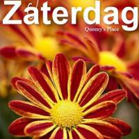 Fijne Zaterdag