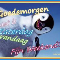 Goedemorgen. Het is...