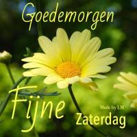 Goedemorgen, Fijne...