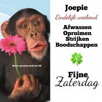 Joepie Eindelijk...