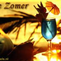 Fijne Zomer